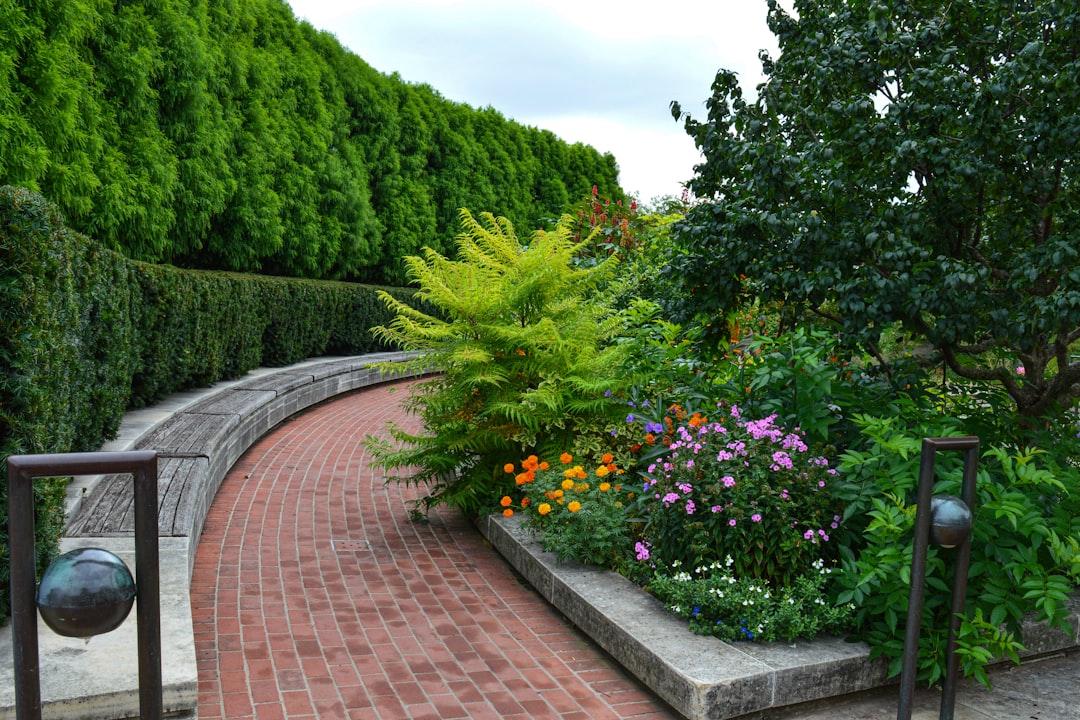gallery-03 a-brick-path-with-a-garden-of-flowers-and-trees-aqqx2yrvb2m